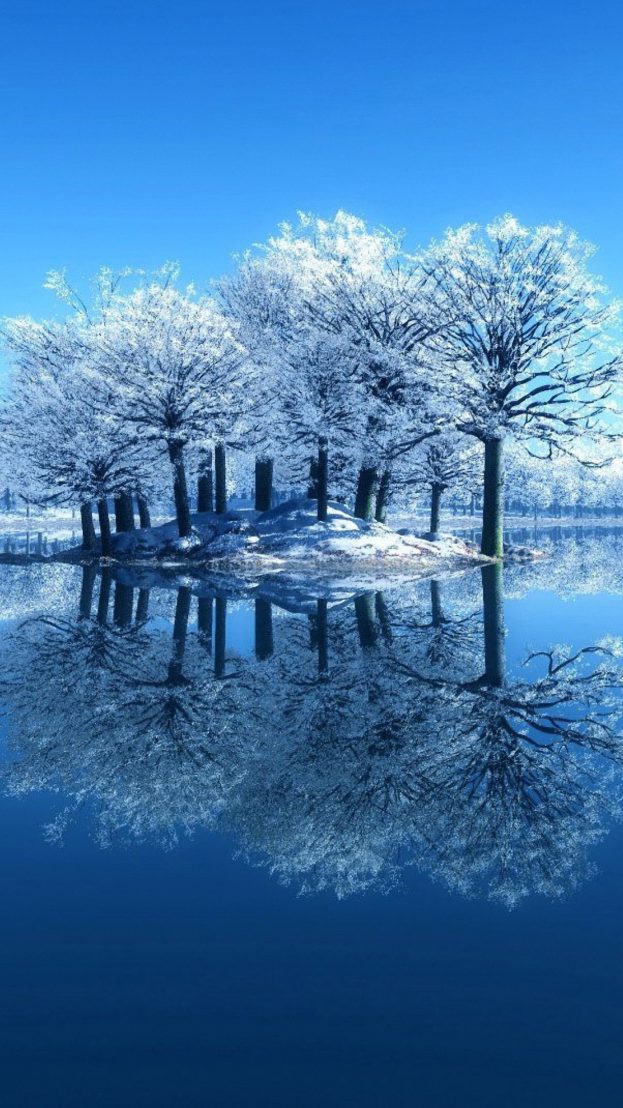 Amazing Snow Tree Reflection خلفيات ايفون بلس iPhone 6 Plus & 7 Plus - صور خلفيات عالية الدقة HD Wallpapers